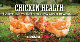 Chicken Health - Everything You Need To Know About Deworming