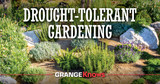 Drought Tolerant Gardening
