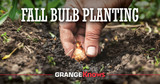 Fall Bulb Planting