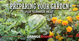 Prepping Your Garden for Summer Heat