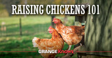 Raising Chickens 101