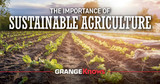 The Importance of Sustainable Agriculture