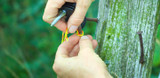 Building Your Electric Fence