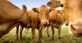 Grange Co-op to Match Up to $5,000 in Fire Relief for Oregon Cattlemen’s Association Livestock Aid