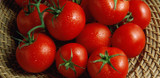 Choosing the Right Tomato