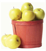Controlling Diseases & Insects in Fruit Trees