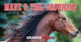 Mane and Tail Care for Equine Grooming