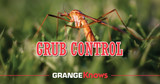 Grub Control for Lawn Health and Maintenance