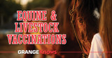 Vaccinations for Equine and Livestock