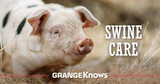 Swine Care and Nutrition