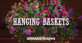 Create your Own Hanging Basket