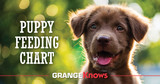 Puppy Feeding Chart