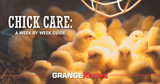 Baby Chick Care: Week By Week Guide