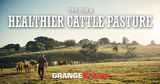 Tips for a Healthier Cattle Pasture