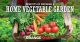 Benefits of Growing A Home Vegetable Garden