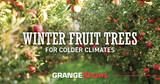 Winter Fruit Trees for Colder Climates
