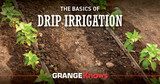 The Basics of Drip Irrigation 