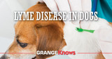 Lyme Disease In Dogs