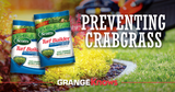 Crabgrass Extermination and Prevention