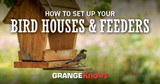 How to Set Up Your Birdhouses and Feeders