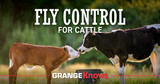 Fly Control for Cattle