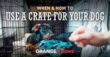 When and How To Use a Crate for Your Dog