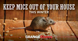 Keep Mice Out of Your House This Winter