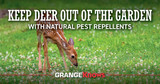 Keep Deer Out of the Garden with Natural Pest Repellents