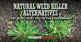 Natural Weed Killer Alternatives That Won't Hurt You or the Environment