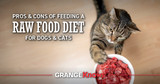 Pros and Cons of Feeding a Raw Food Diet for Dogs and Cats
