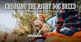 Choosing the Right Dog Breed to Suit Your Lifestyle