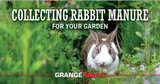 Collecting Rabbit Manure for Your Garden
