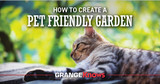 How to Create a Pet-Friendly Garden