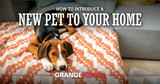 How to Introduce a New Pet to Your Home