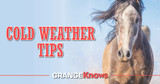 Cold Weather Tips for Equine Care