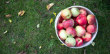 Growing Fruit Trees