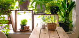 Help Clean Your Inside Air With Air-Scrubbing Houseplants