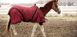 Horse Blankets