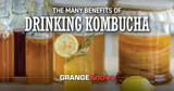The Many Benefits of Drinking Kombucha