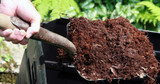 Mulching for a Healthy Soil and EcoSystem