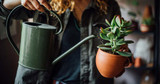 Overwatering Garden Plants