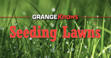 Seeding to Establish a Healthy & Full Lawn