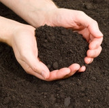 What is Soil?