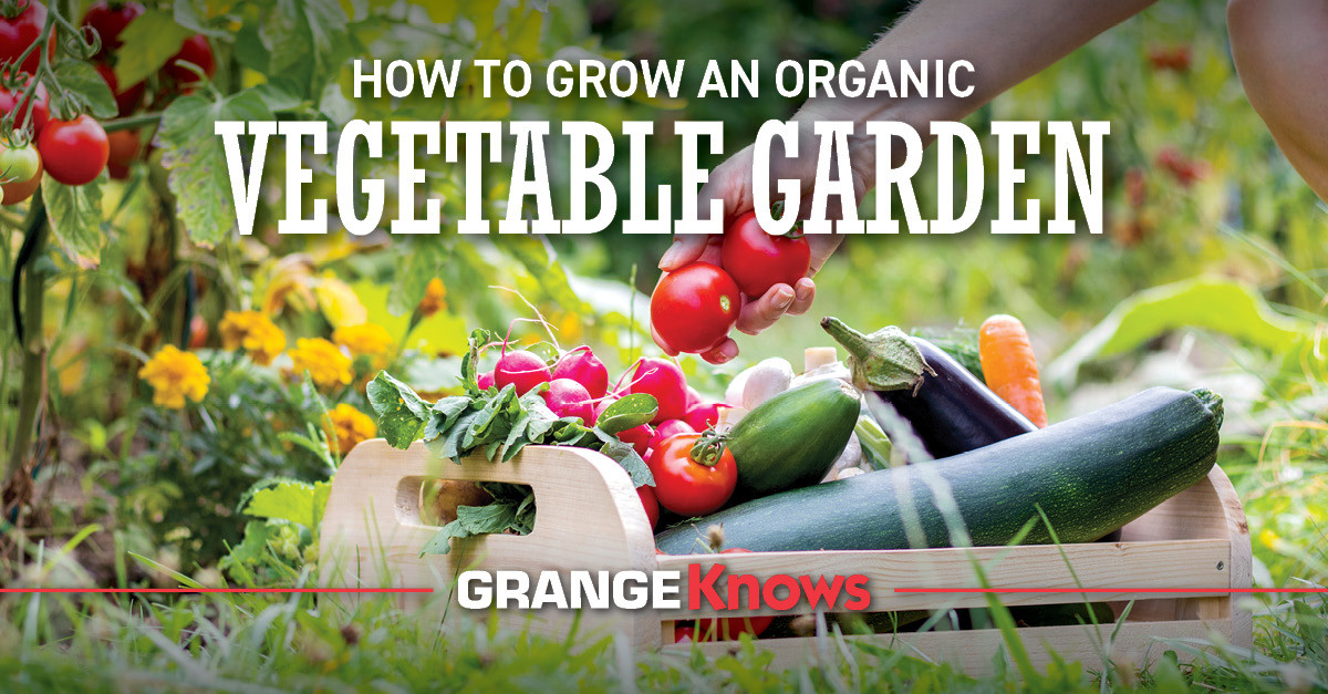 How to Grow an Organic Vegetable Garden Grange Coop