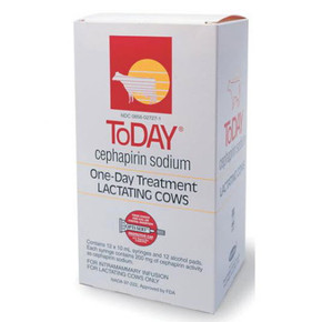 Today Cephapirin Sodium For Lactating Cows - 10ml