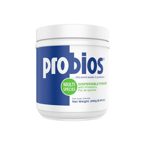 Probios Multi-Species Dispersible Powder - 240 gram