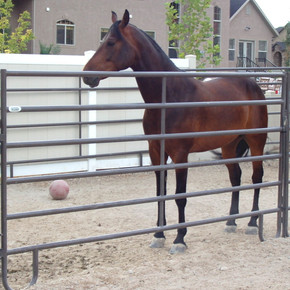 Powder River Horse Powder Mountain Panel with Pin & Clip