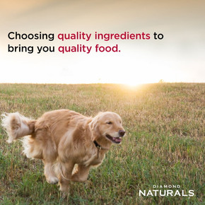 Diamond Naturals Beef Meal & Rice Formula Adult Dry Dog Food - 40 Lb