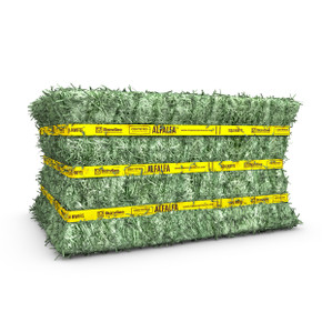 Standlee Certified Alfalfa Compressed Bale - 50 lb