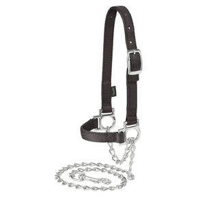 Weaver Leather Nylon Adjustable Sheep Halter with Chain Lead